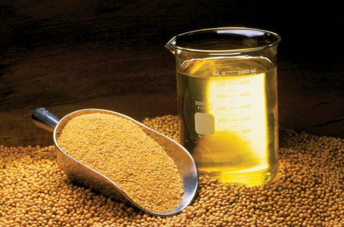 Soybean Oil, Meal, and Beans