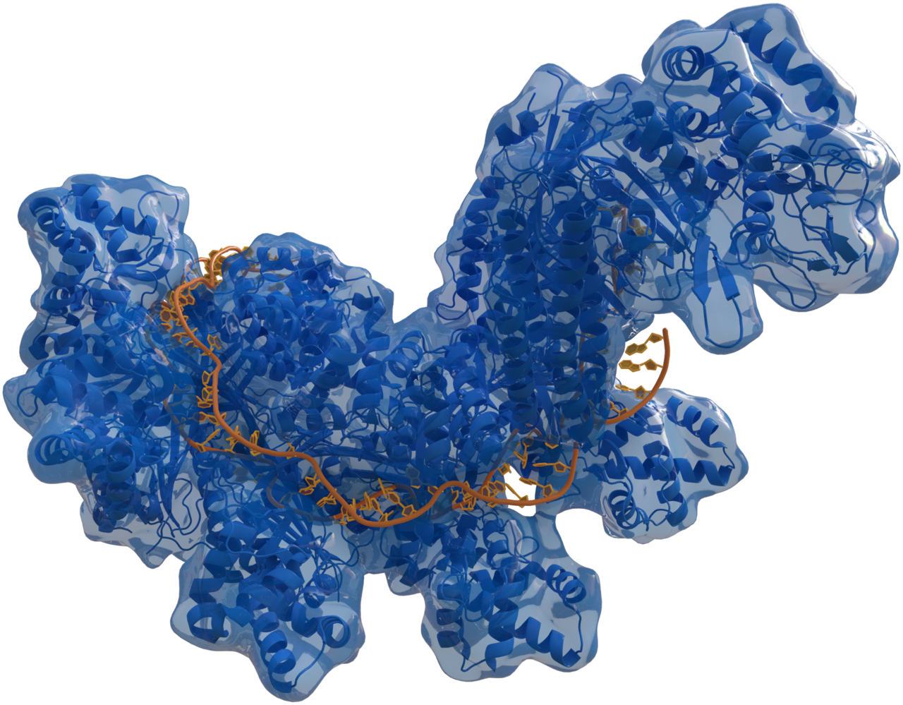 CRISPR: An In-Depth Primer On All Its Varieties
