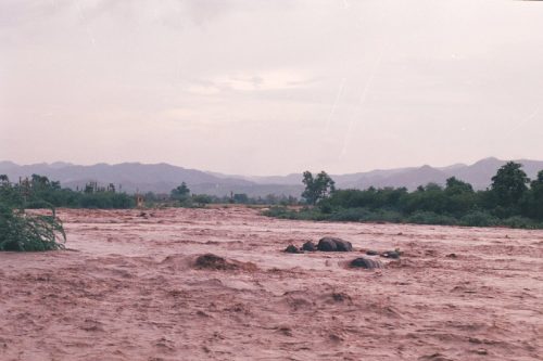 Pamri River near Kotra village, Udaipur, Rajasthan
