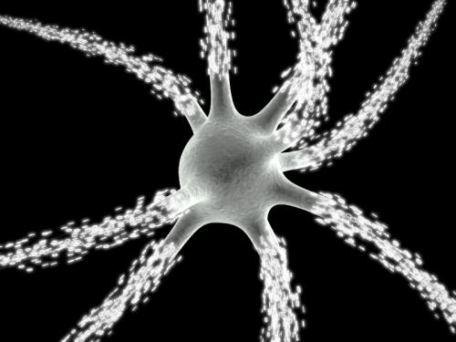 Neuron-matrix