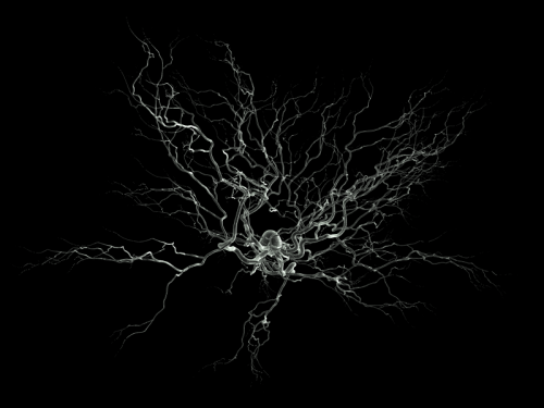 Neuron-SEM-2