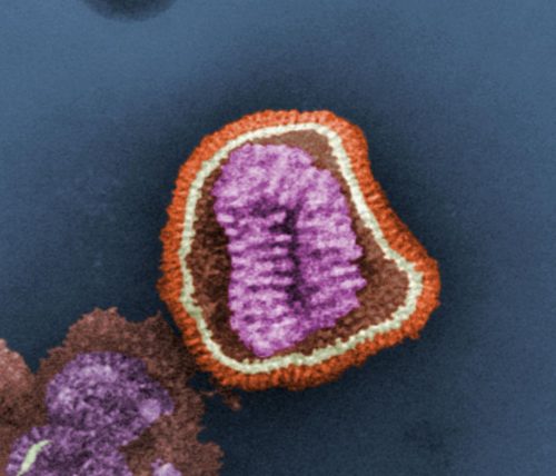 Influenza virus particle color